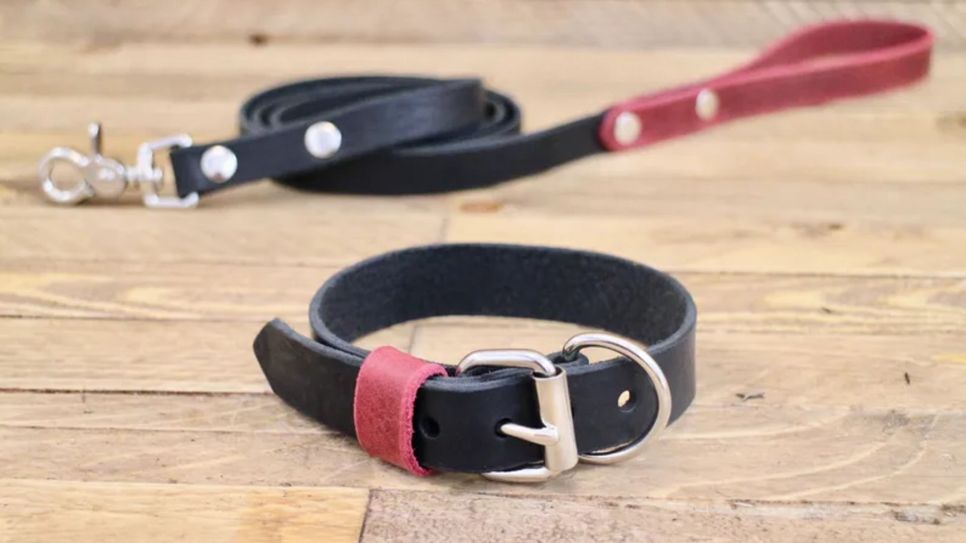 Why Choose a Dog Collar and Leash Set for Your Pup?