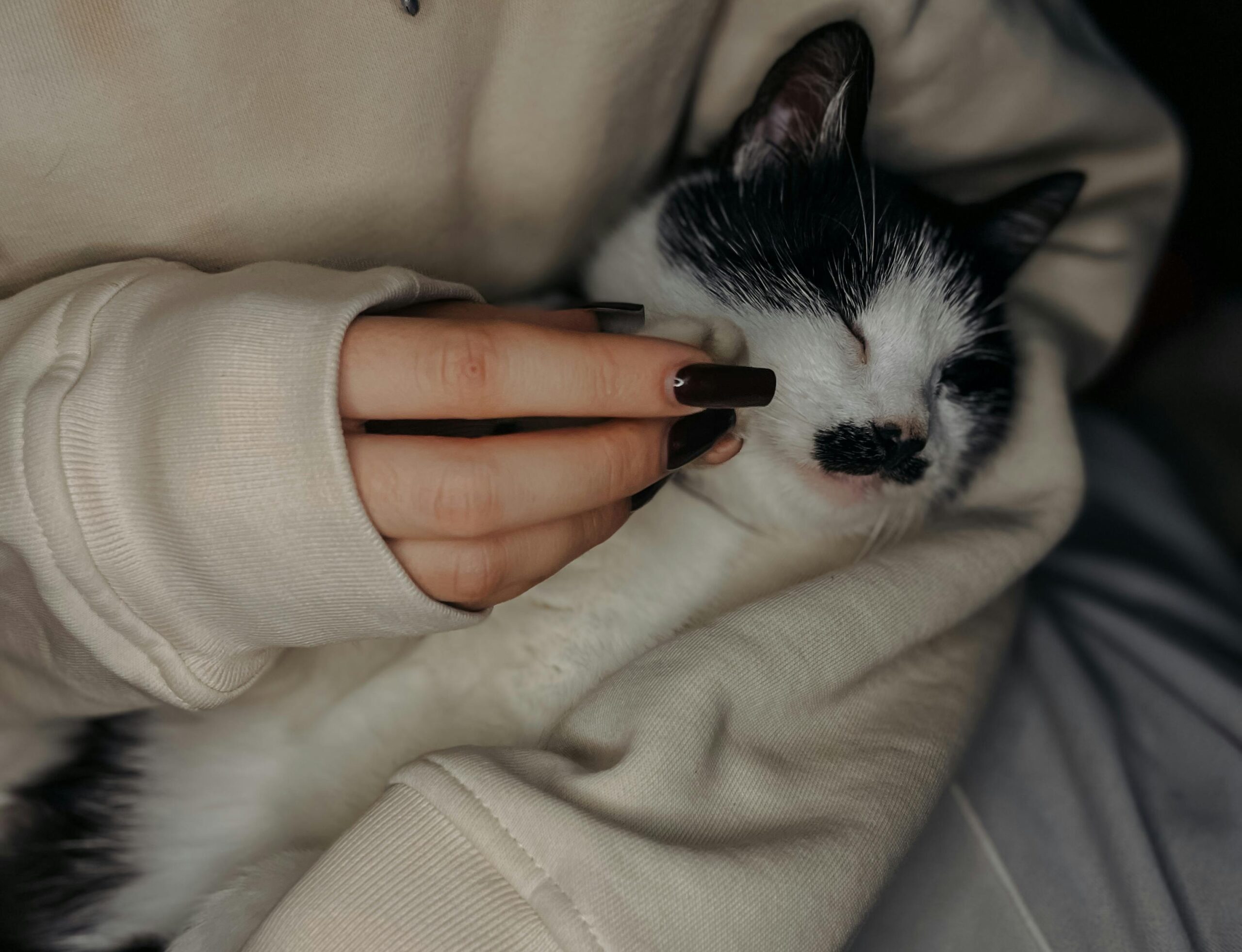 Why Understanding Cat Behavior Makes You a Better Pet Parent