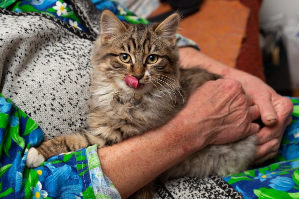 Understanding Cat Behavior