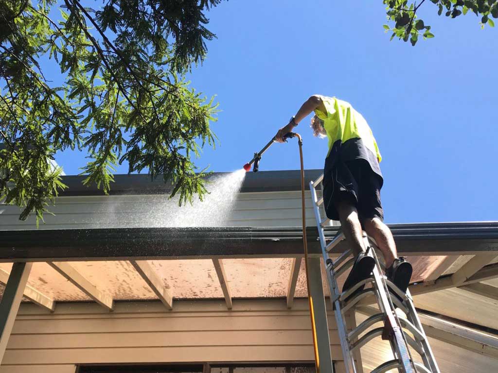 Why Roof Pressure Washing Services in San Diego Are Essential for Homeowners