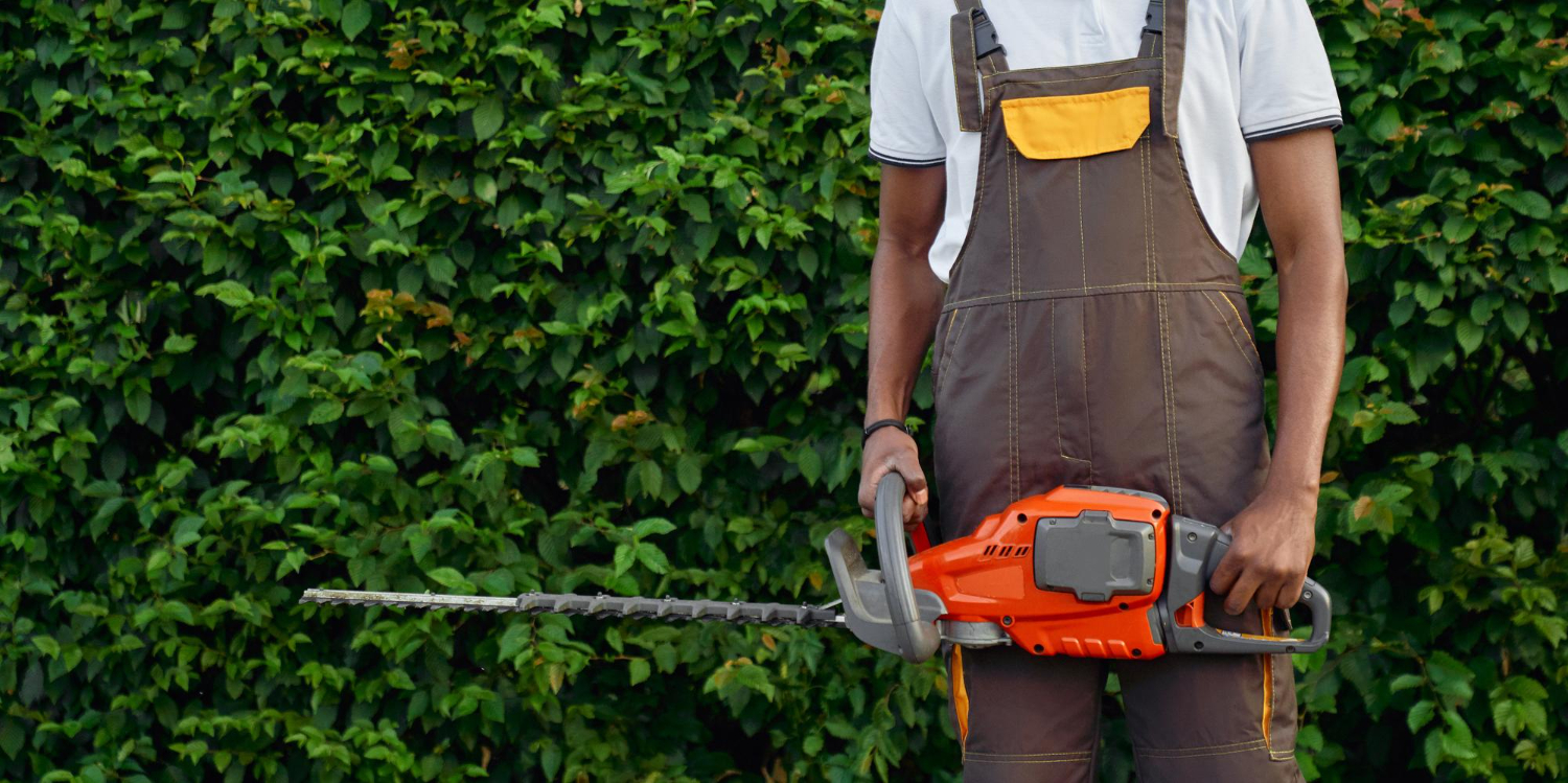 How Professional Tree and Shrub Care Services Enhance Outdoor Beauty and Long-Term Plant Health