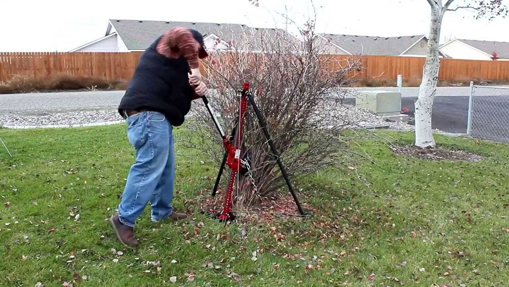 grass burr removal