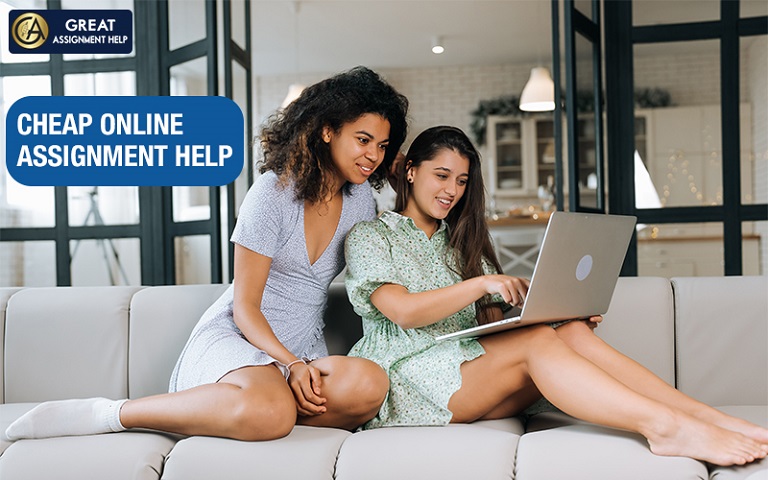 Assignment Help