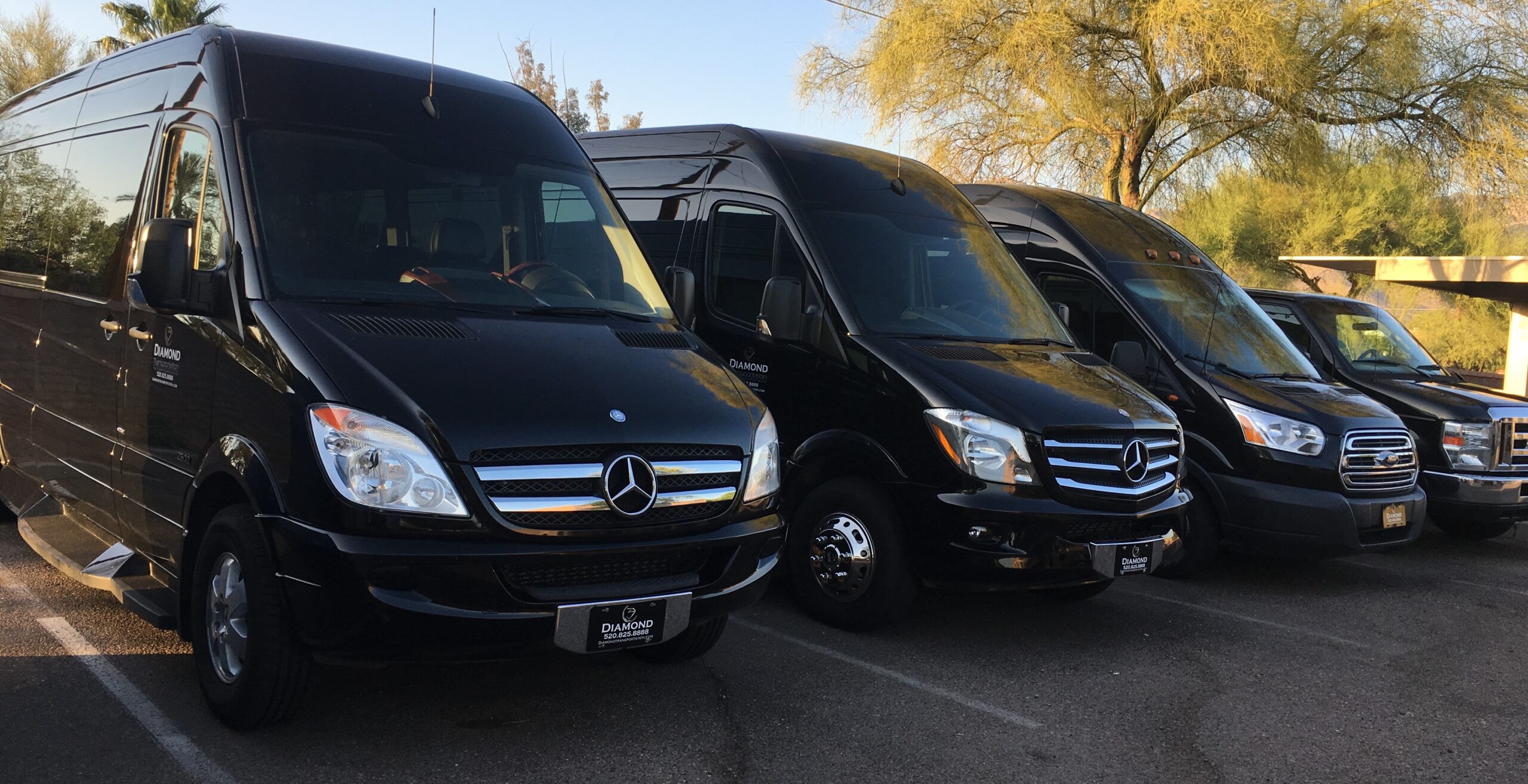 Limo, Party Bus & More