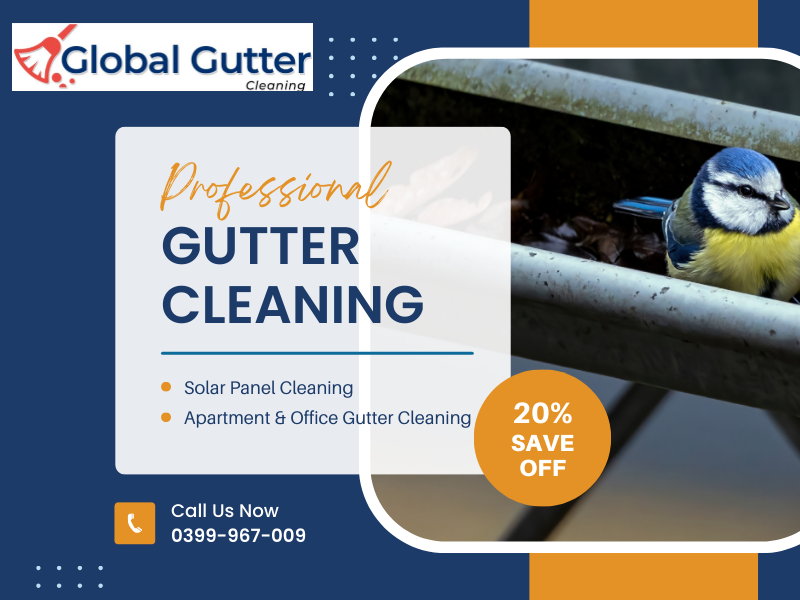Gutter Cleaning in Richmond