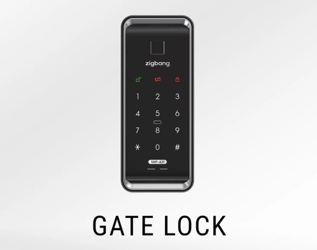 Digital Lock for HDB Gate