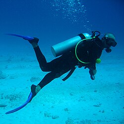 Scuba Diving in Dubai: A Hidden Gem Beneath the Desert