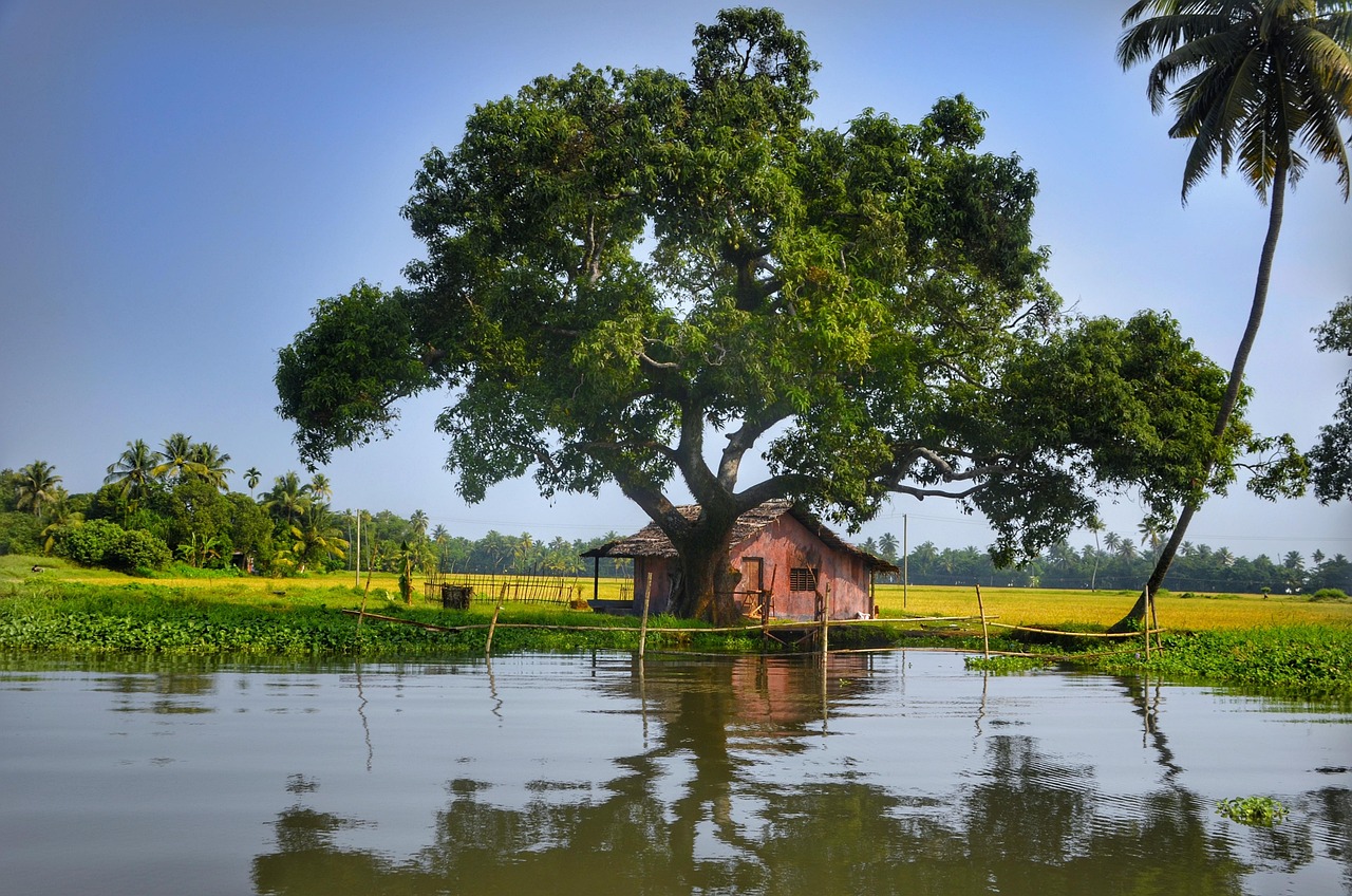 Kerala 7 Days Yoga and Ayurveda Tour – Wellness and Relaxation