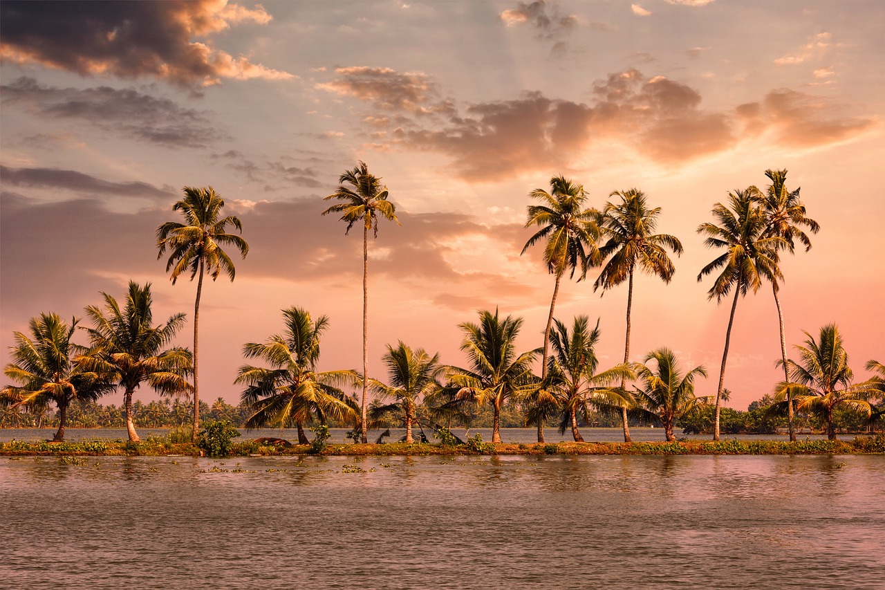 11 days south india tour