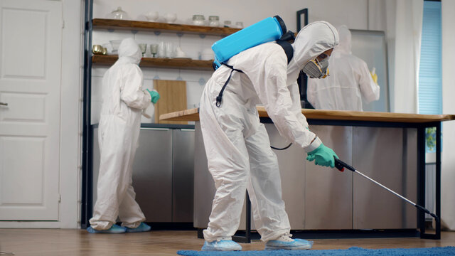 biological control of pests