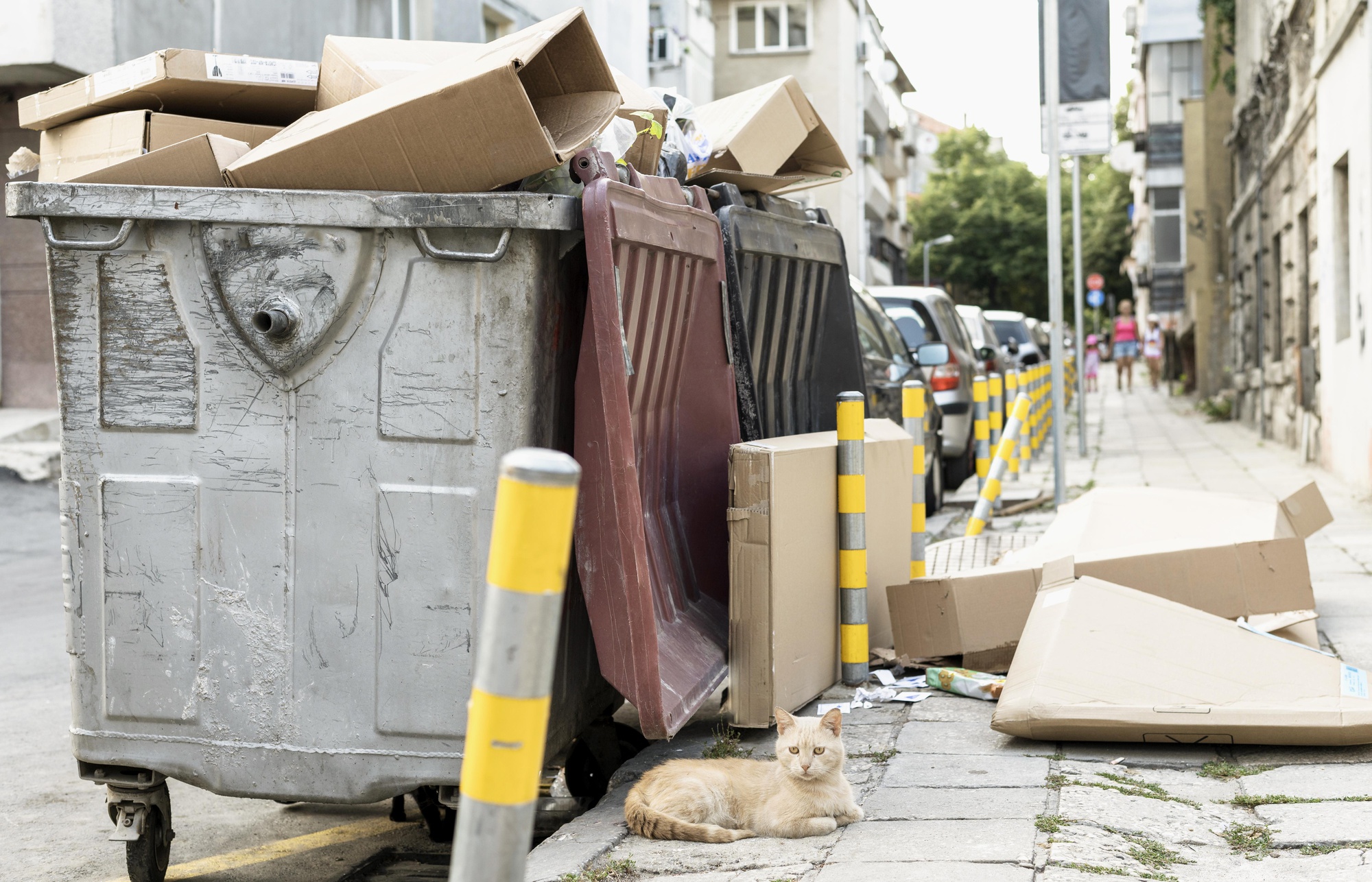 Revolutionizing Waste Management with GoGoStik’s Heavy Duty Solutions