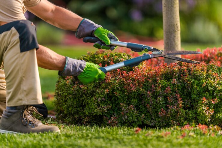 landscape contractor Singapore
