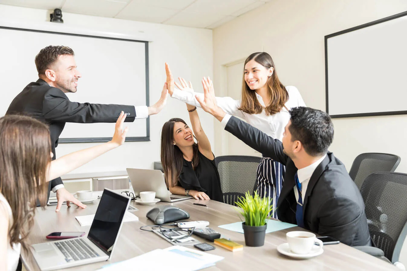 Website Development Company