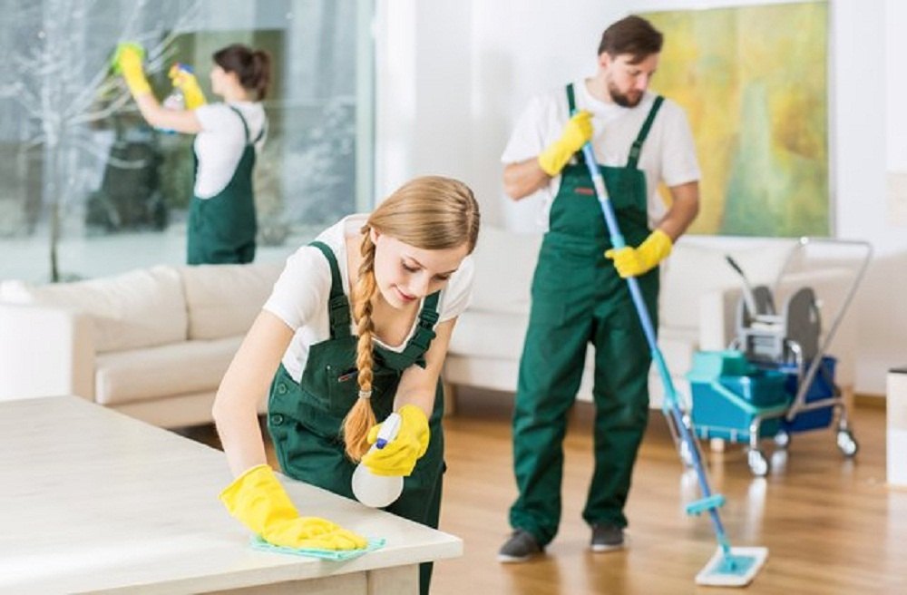 How to Choose the Right Home Cleaning Products for Your Home