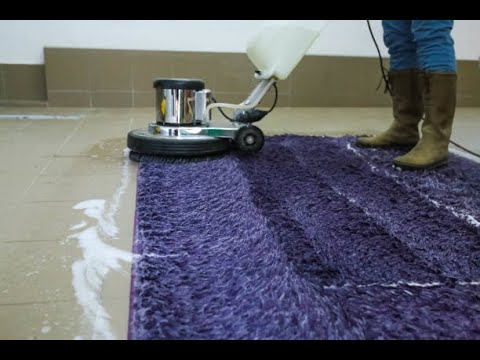 How to Odor Removal Service in San Diego for Offices
