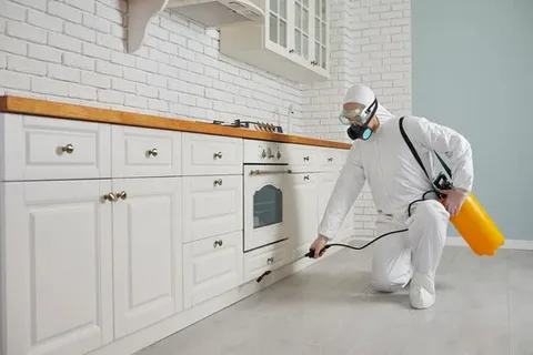 pest control islamabad
