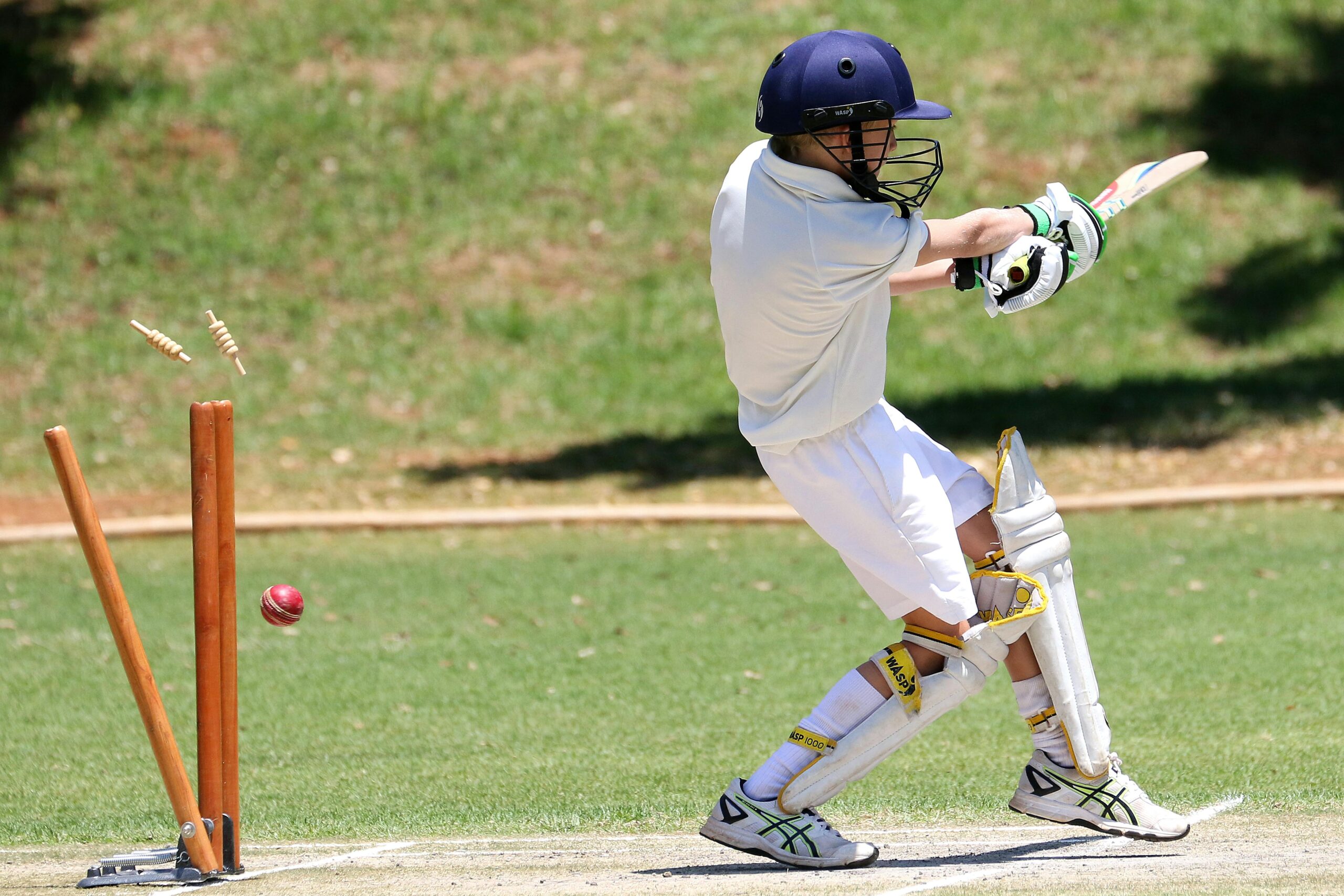 Wheon Cricket 07