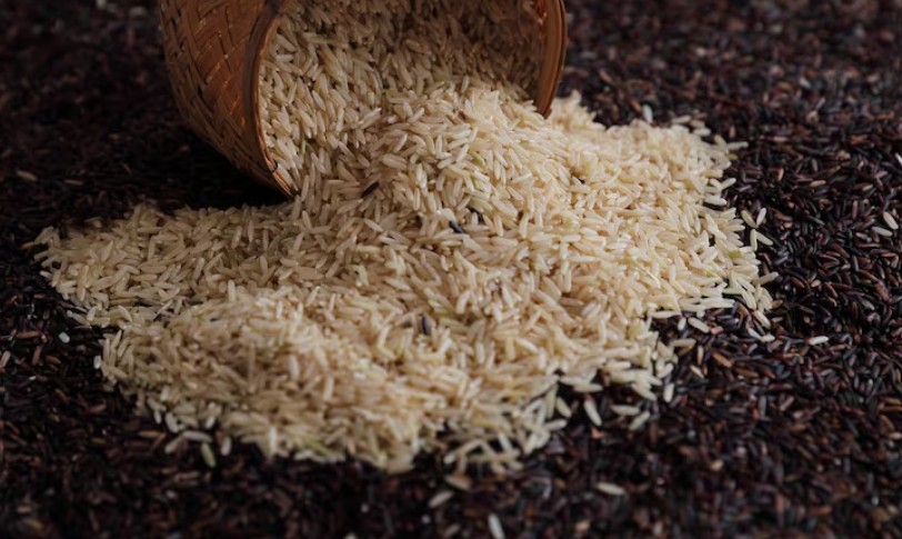 Chennai’s Best Sella Basmati Rice Manufacturer: From Farm to Plate