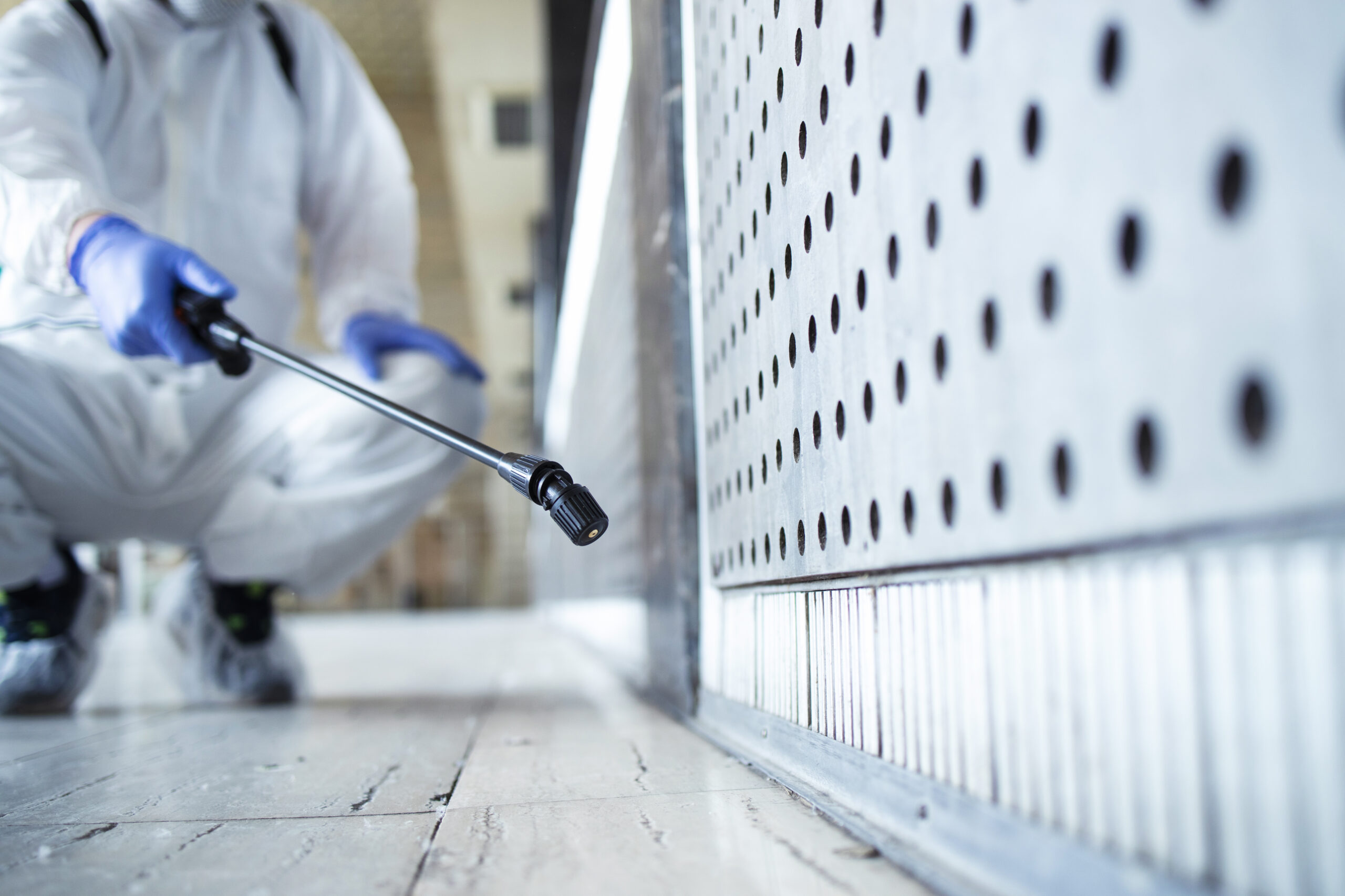 professional disinfecting services