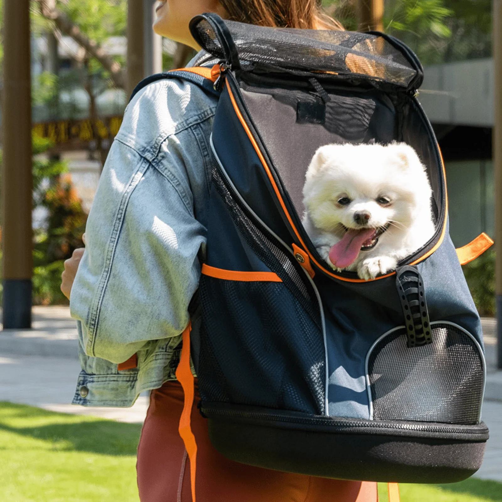 dog with carrier