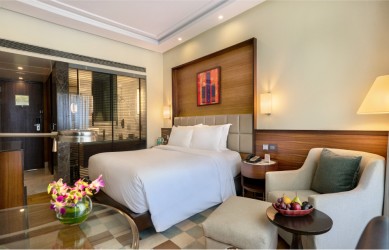 hotels in andheri east near airport-The Mirador