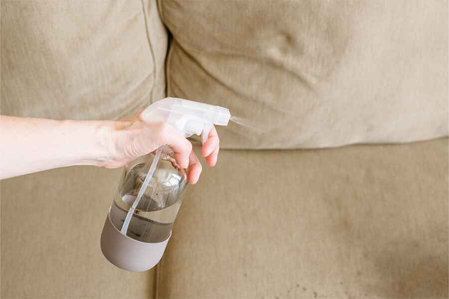 sofa cleaning services